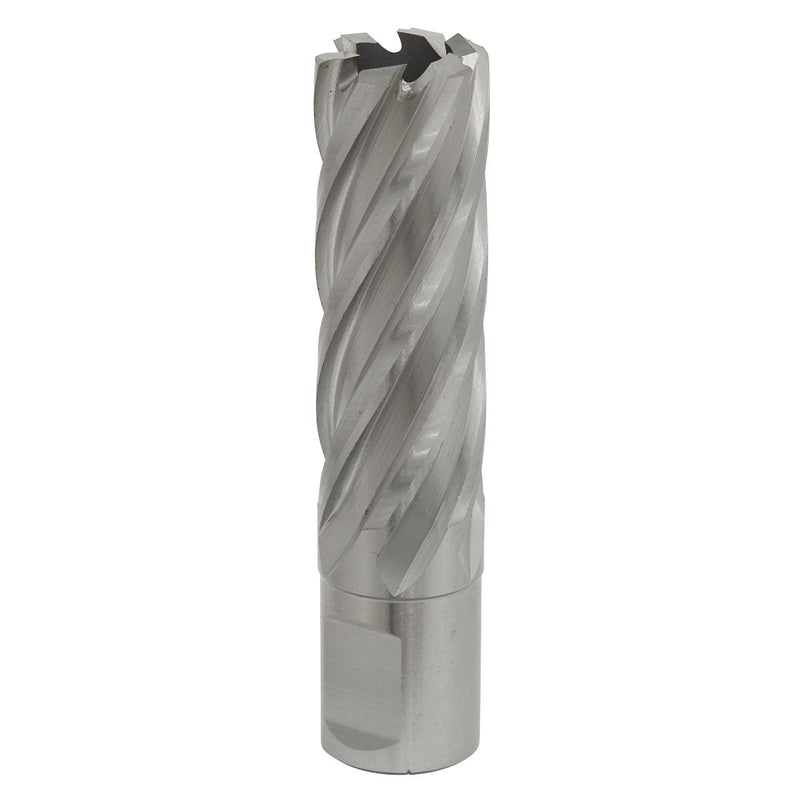 Sealey Rotabor Cutter HSS20mm Cut Depth 50mm RBHSS20L Sealey - Dynamic Drive
