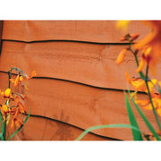 Ronseal Fence Life Plus+ Red Cedar 5 litre Ronseal - Dynamic Drive