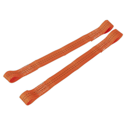 Sealey Tie Down Securing Loop Pair TDL01 Sealey - Dynamic Drive