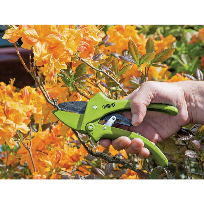 Draper Ratchet Action Anvil Pattern Secateurs, 190mm 34478 Draper - Dynamic Drive