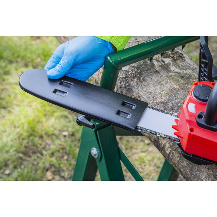 Sealey Cordless Chainsaw 25cm 20V 4Ah SV20 Series Kit CP20VCHSKIT1 Sealey - Dynamic Drive