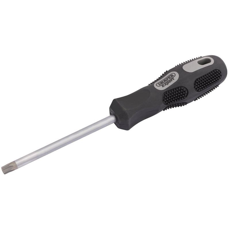 Draper TX-STAR Security Driver, T40T x 100mm 10868 Draper - Dynamic Drive