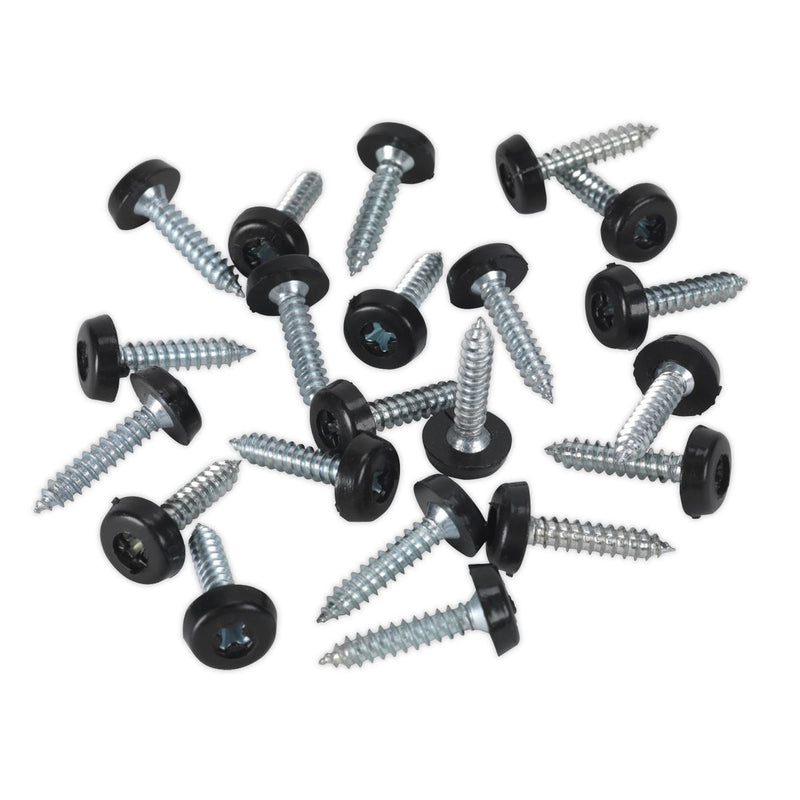 Sealey Clip Strip Deal - Mixed Numberplate Screws NPSSET Sealey - Dynamic Drive