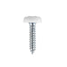 Sealey Numberplate Screw Plastic Enclosed Head 4.8 x 24mm White Pack of 50 PTNP5 Sealey - Dynamic Drive