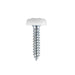 Sealey Number Plate Screw Plastic Head 4.8 x 24mm White Pack of 50 PTNP5 Sealey  - Dynamic Drive