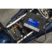 Sealey Two Bank 6/12V 10A (2 x 5A) Auto Maintenance Charger MBC250 Sealey - Dynamic Drive