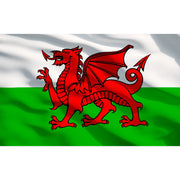 Sealey Toolbox Graphics Pack Wales APTBG03 Sealey - Dynamic Drive