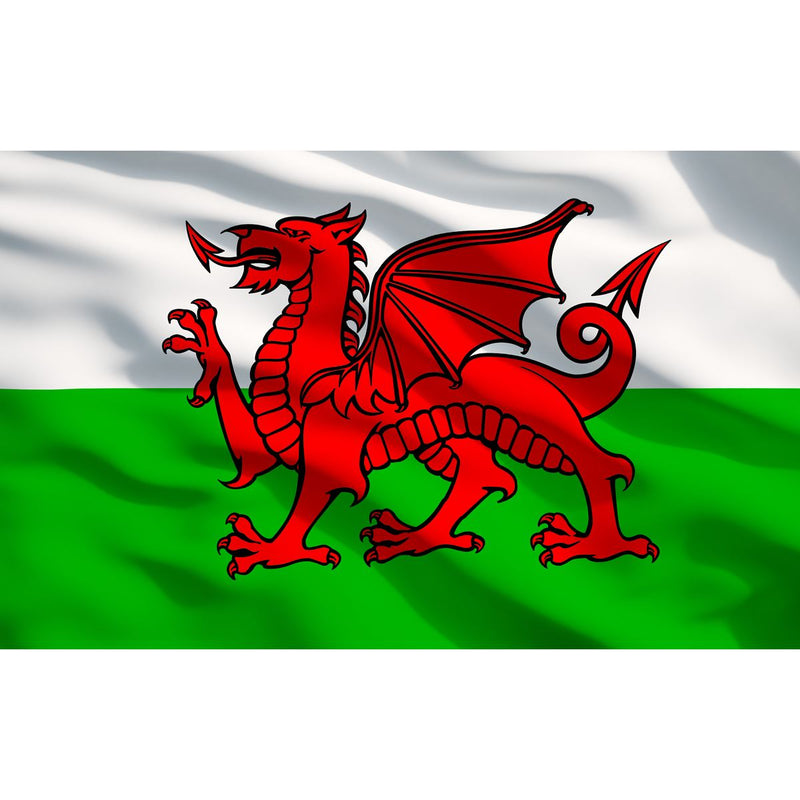 Sealey Toolbox Graphics Pack Wales APTBG03 Sealey - Dynamic Drive