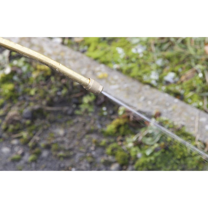 Sealey Pressure Sprayer 5L SS2 Sealey - Dynamic Drive