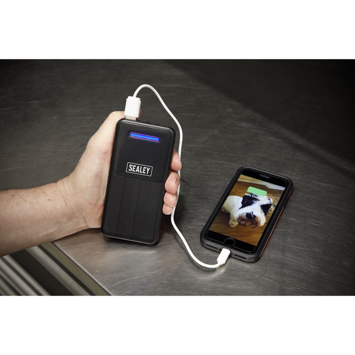 Sealey Portable Power Bank 10W 20000mAh SPB102 Sealey - Dynamic Drive