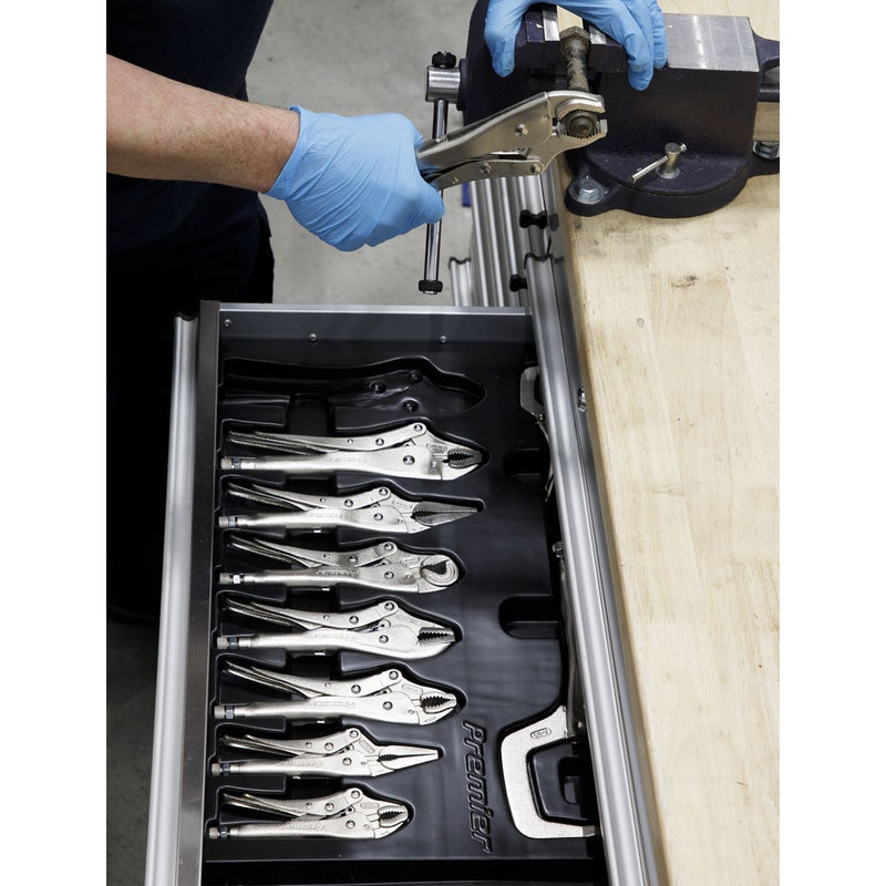 Sealey Locking Pliers Set 10pc AK6800 Sealey - Dynamic Drive