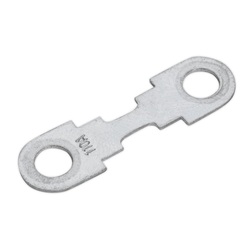 Sealey Fuse 110Amp for START360 & START560 START360.F Sealey - Dynamic Drive