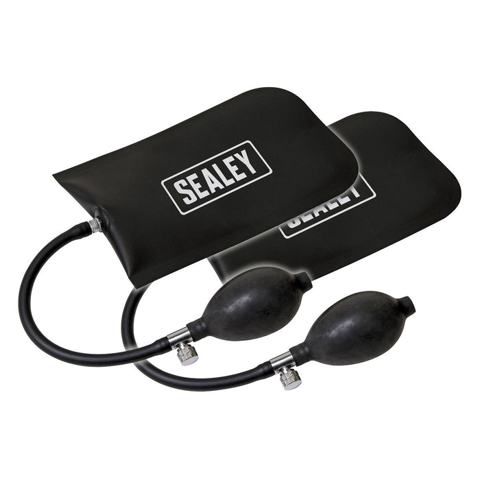 Sealey Panel Bag Set 2pc VS9111 Sealey - Dynamic Drive