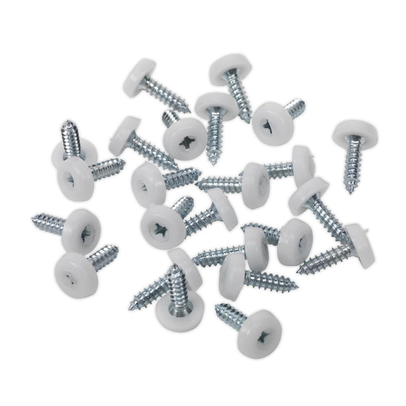 Sealey Clip Strip Deal - Mixed Numberplate Screws NPSSET Sealey - Dynamic Drive