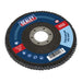 Sealey 115mm Zirconium Flap Discs 120Grit 22mm Bore - Pack of 10 FD11512010 Sealey - Dynamic Drive