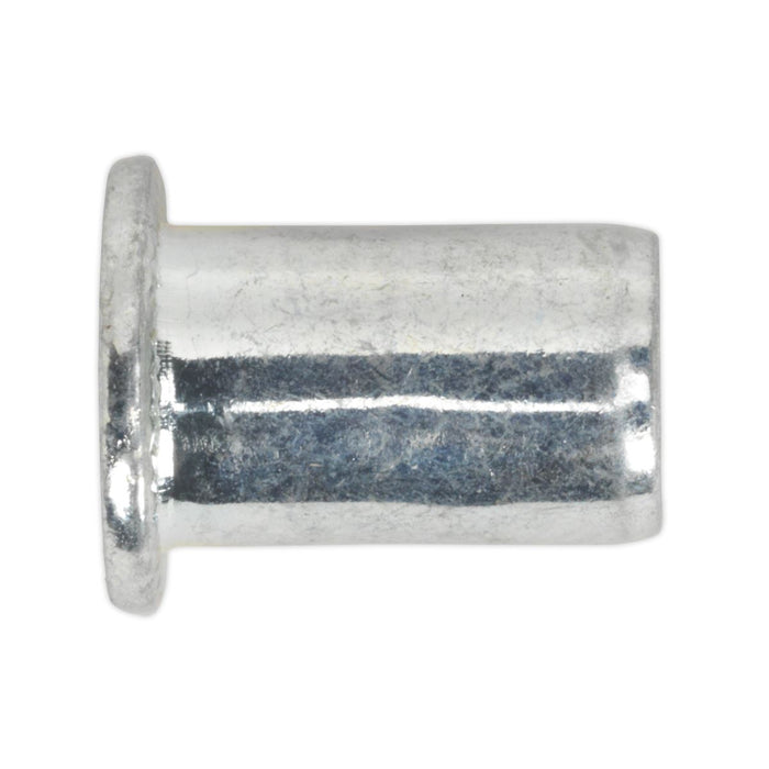 Sealey Threaded Insert (Rivet Nut) M10 Regular Pack of 50 TIRM10 Sealey - Dynamic Drive