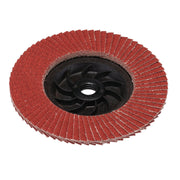 Draper Expert Ceramic Flap Disc, 115mm, M14, 80 Grit 87776 Draper - Dynamic Drive