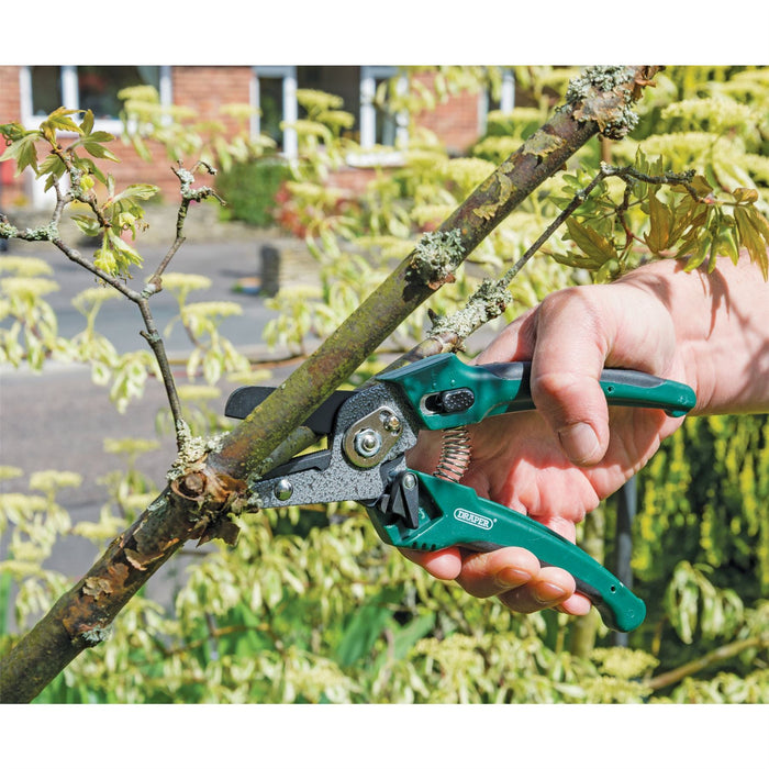 Draper Soft Grip Anvil Pattern Secateurs, 200mm 45315 Draper - Dynamic Drive