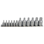 Bluespot Tools Mixed Drive TORX Socket Set, 12 Piece BlueSpot Tools - Dynamic Drive