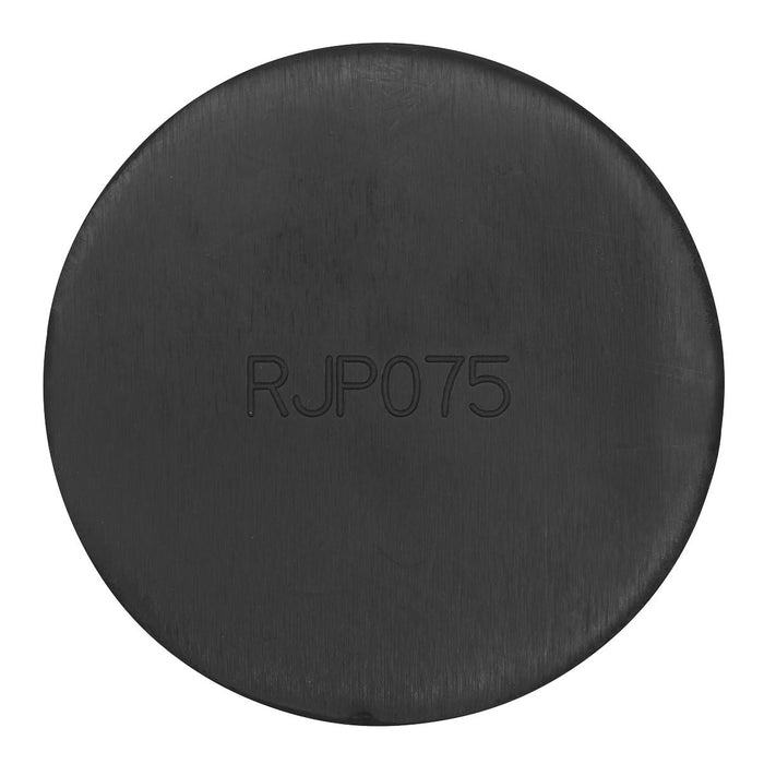 Sealey Slotted Pinch Weld Jacking Pad - Universal JP20 Sealey - Dynamic Drive
