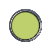 Ronseal Garden Paint Lime Zest 250ml Ronseal - Dynamic Drive