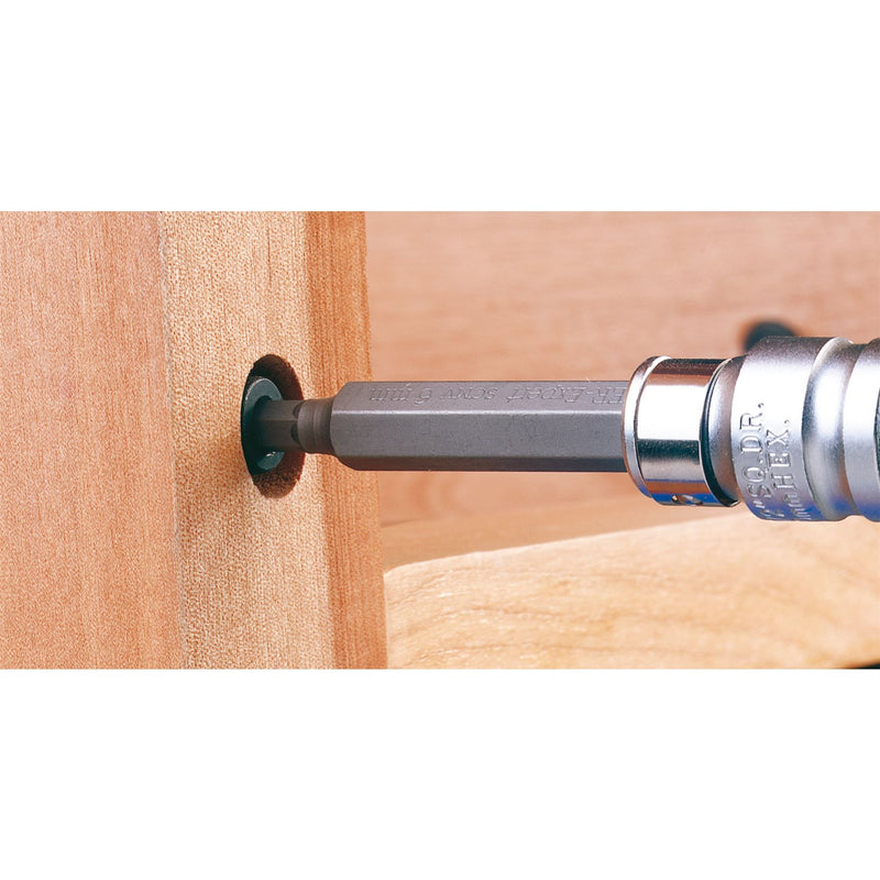 Draper Expert TX-STAR Hex. & Spline Mechanic's Bit Set, 3/8, 1/2" Sq. Dr. (40 Pi Draper - Dynamic Drive