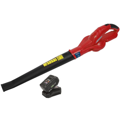 Sealey Leaf Blower Cordless 20V SV20 Series with 4Ah Battery & Charger Sealey - Dynamic Drive