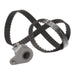 Ina Timing Belt Kit 530024810 Ina  - Dynamic Drive