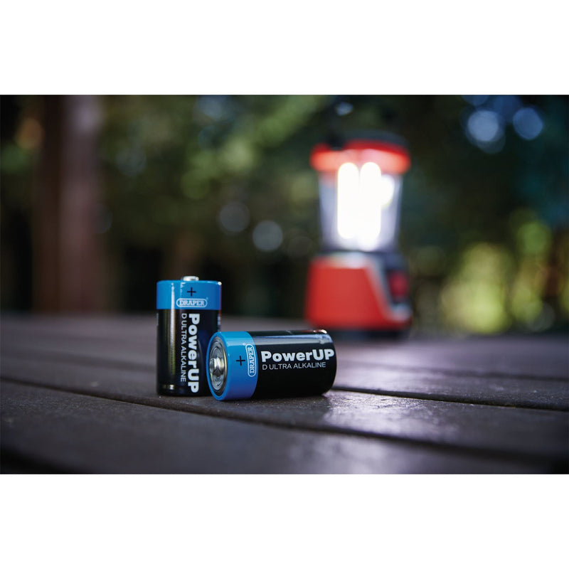 Draper PowerUP Ultra Alkaline D Batteries (Pack of 12) 03980 Draper - Dynamic Drive
