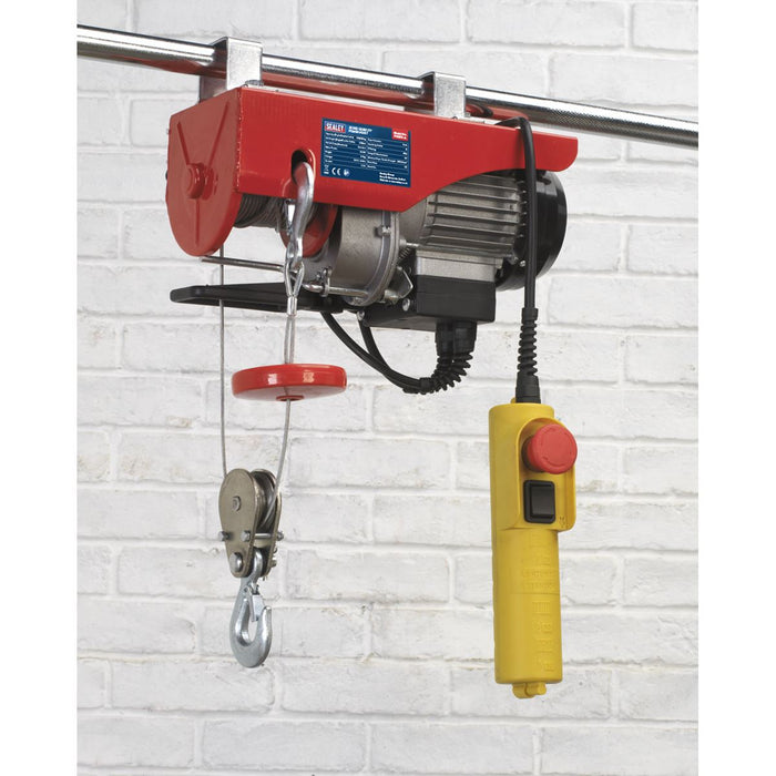 Sealey Power Hoist 230V/1ph 250kg Capacity PH250 Sealey - Dynamic Drive