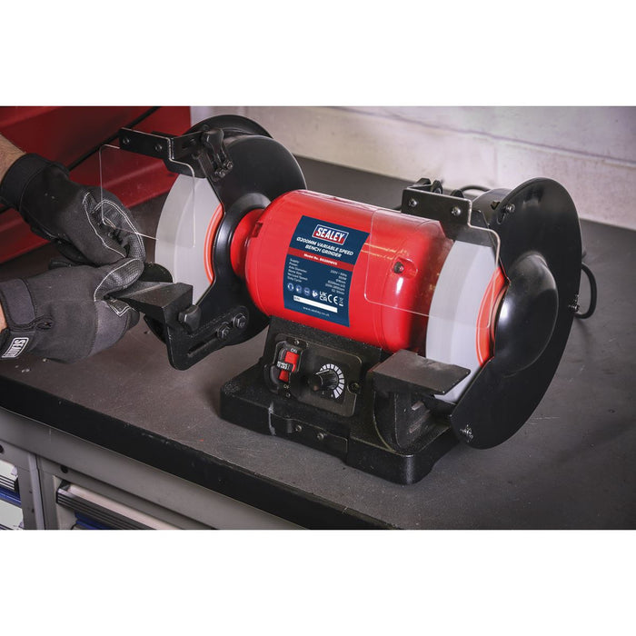 Sealey Bench Grinder 200mm Variable Speed BG200WVS Sealey  - Dynamic Drive