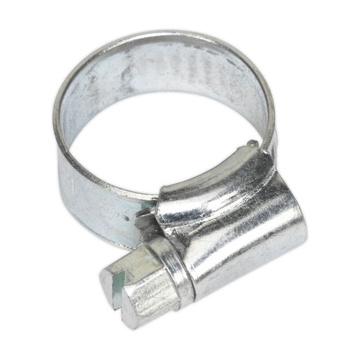 Sealey Hose Clip Zinc Plated 13-19mm Pack of 30 SHC00 Sealey  - Dynamic Drive