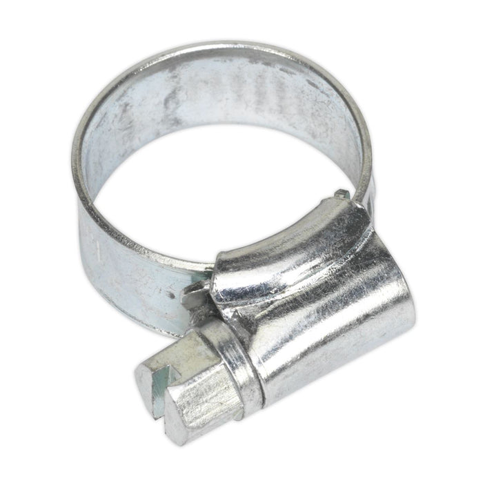 Sealey Hose Clip Zinc Plated 13-19mm Pack of 30 SHC00 Sealey  - Dynamic Drive