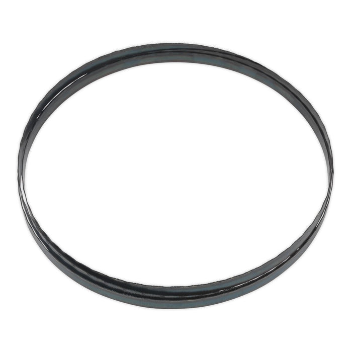 Sealey Bandsaw Blade 2240 x 12 x 0.6mm 24tpi SM1305B24 Sealey - Dynamic Drive