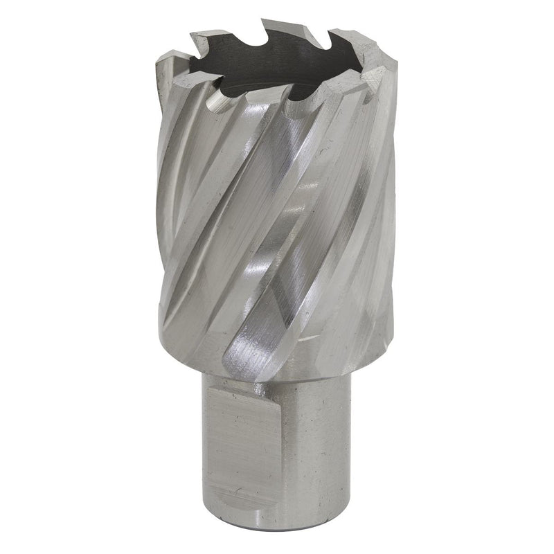 Sealey Rotabor Cutter HSS30mm Cut Depth 25mm RBHSS30S Sealey - Dynamic Drive