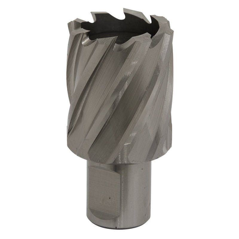 Sealey Rotabor Cutter HSS31mm Cut Depth 25mm RBHSS31S Sealey - Dynamic Drive