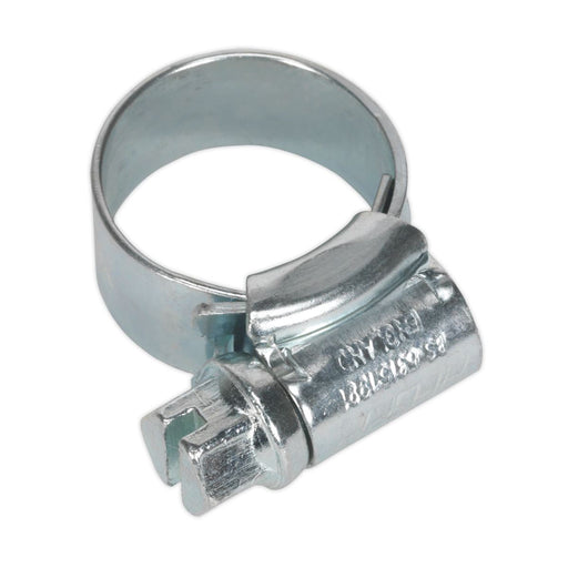 Sealey HI-GRIPï Hose Clip Zinc Plated11-16mm Pack of 30 HCJM00 Sealey - Dynamic Drive