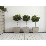 Ronseal Garden Paint Warm Stone 250ml Ronseal - Dynamic Drive