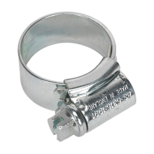 Sealey HI-GRIPï Hose Clip Zinc Plated14-22mm Pack of 30 HCJ0 Sealey - Dynamic Drive