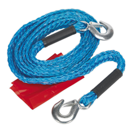Sealey Tow Rope 2000kg Rolling Load Capacity TH2002 Sealey - Dynamic Drive