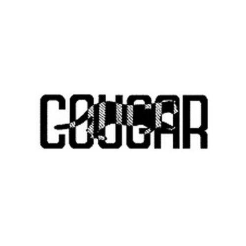 2X Cougar Ramp Extensions Heavy Duty Car Ramp Mate For Low Ground Clearance Cars COUGAR  - Dynamic Drive