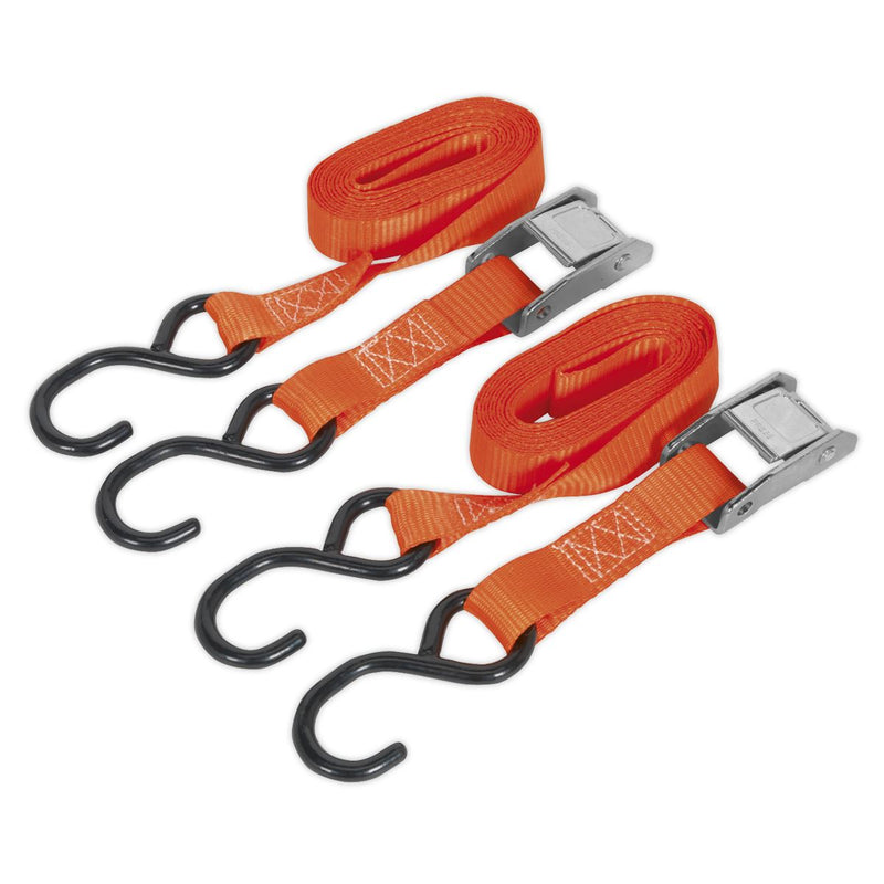 Sealey Cam Buckle Tie Down 25mm x 2.5m Polyester Webbing with S-Hooks 250kg Brea Sealey - Dynamic Drive