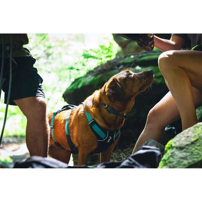 Ruffwear Flagline Dog Harness with Handle in Basalt Grey (X Small) Ruffwear - Dynamic Drive