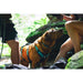Ruffwear Flagline Dog Harness with Handle in Basalt Grey (X Small) Ruffwear - Dynamic Drive