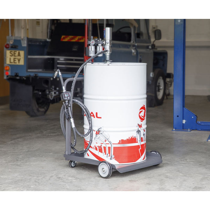 Sealey Air Operated Oil Dispensing System AK4561D Sealey - Dynamic Drive
