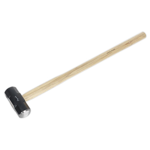 Sealey Sledge Hammer 10lb Hickory Shaft SLH10 Sealey - Dynamic Drive