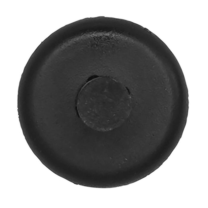 Sealey Push Rivet15mm x 24mm BMW GM Pack of 20 TCPR1515 Sealey - Dynamic Drive