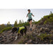 Ruffwear Trail Runner Dog Lead in Blue Pool (1 to 1.8 m) Ruffwear - Dynamic Drive