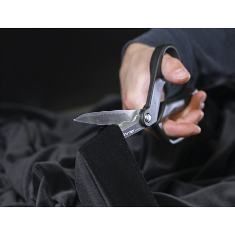 Sealey Shears/Scissors 250mm Heavy-Duty AK8524 Sealey - Dynamic Drive