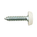 Connect 31549 Number Plate Screw Blue No 10 x 1 100pc Connect - Dynamic Drive